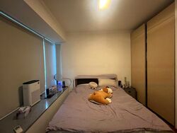 8 @ Mount Sophia (D9), Condominium #441639071
